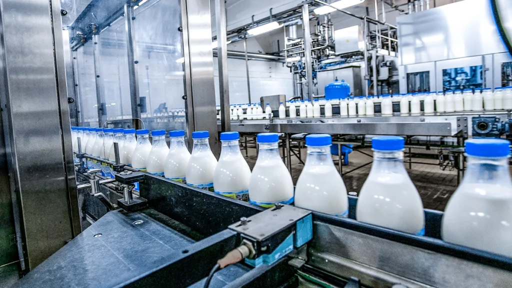 bottles of milk in food plant assembly line